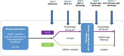 Rivaroxaban Once-Daily vs. Dose-Adjusted Vitamin K Antagonist on Biomarkers in Acute Decompensated Heart Failure and Atrial Fibrillation (ROAD HF-AF): Rationale and Design of an Investigator-Initiated Multicenter Randomized Prospective Open-Labeled Pilot Clinical Study